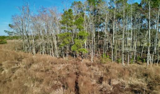 Photo #21 of SOLD property in 4345 Shiloh Rd, Watha, NC 75.0 acres