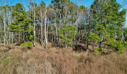Photo #22 of SOLD property in 4345 Shiloh Rd, Watha, NC 75.0 acres