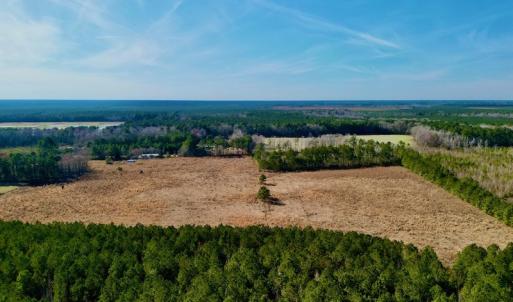 Photo #4 of SOLD property in 4345 Shiloh Rd, Watha, NC 75.0 acres