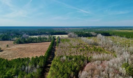 Photo #5 of SOLD property in 4345 Shiloh Rd, Watha, NC 75.0 acres
