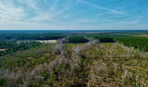 Photo #6 of SOLD property in 4345 Shiloh Rd, Watha, NC 75.0 acres