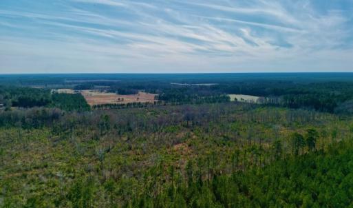 Photo #7 of SOLD property in 4345 Shiloh Rd, Watha, NC 75.0 acres