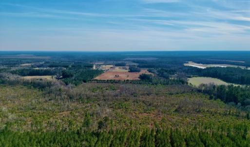 Photo #8 of SOLD property in 4345 Shiloh Rd, Watha, NC 75.0 acres