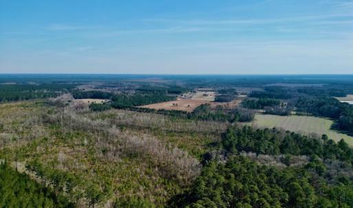 Photo #9 of SOLD property in 4345 Shiloh Rd, Watha, NC 75.0 acres