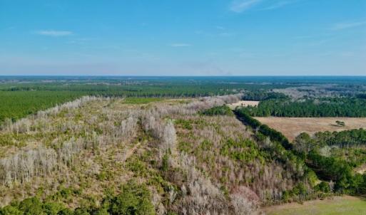 Photo #10 of SOLD property in 4345 Shiloh Rd, Watha, NC 75.0 acres