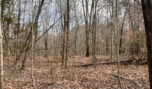 Photo #3 of 9609 Catharpin Road, Spotsylvania, VA 18.1 acres