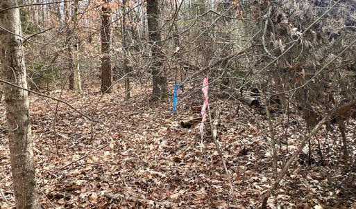 Photo #4 of 9609 Catharpin Road, Spotsylvania, VA 18.1 acres