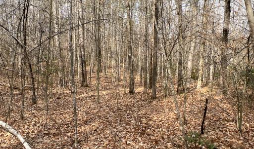 Photo #5 of 9609 Catharpin Road, Spotsylvania, VA 18.1 acres