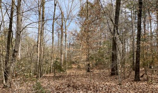 Photo #6 of 9609 Catharpin Road, Spotsylvania, VA 18.1 acres