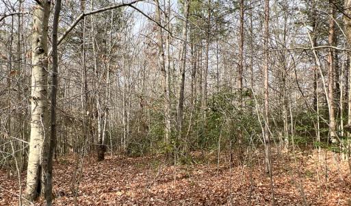 Photo #7 of 9609 Catharpin Road, Spotsylvania, VA 18.1 acres