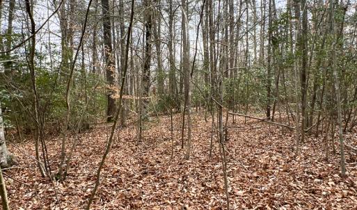 Photo #8 of 9609 Catharpin Road, Spotsylvania, VA 18.1 acres