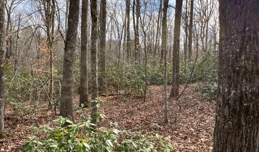 Photo #10 of 9609 Catharpin Road, Spotsylvania, VA 18.1 acres