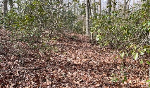 Photo #11 of 9609 Catharpin Road, Spotsylvania, VA 18.1 acres