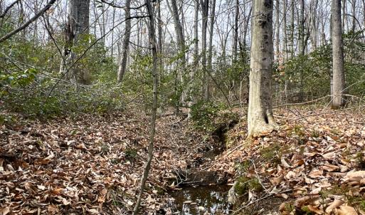 Photo #12 of 9609 Catharpin Road, Spotsylvania, VA 18.1 acres