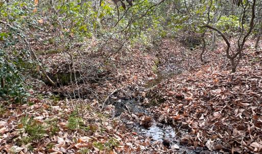 Photo #13 of 9609 Catharpin Road, Spotsylvania, VA 18.1 acres