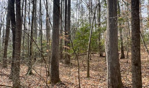 Photo #16 of 9609 Catharpin Road, Spotsylvania, VA 18.1 acres