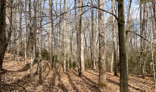 Photo #17 of 9609 Catharpin Road, Spotsylvania, VA 18.1 acres