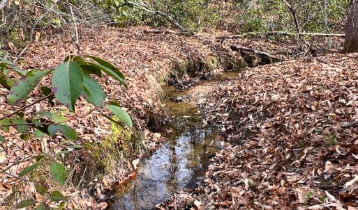 Photo #19 of 9609 Catharpin Road, Spotsylvania, VA 18.1 acres