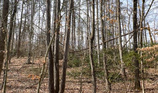 Photo #20 of 9609 Catharpin Road, Spotsylvania, VA 18.1 acres