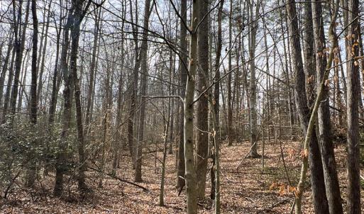 Photo #21 of 9609 Catharpin Road, Spotsylvania, VA 18.1 acres