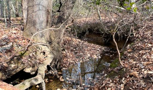 Photo #22 of 9609 Catharpin Road, Spotsylvania, VA 18.1 acres
