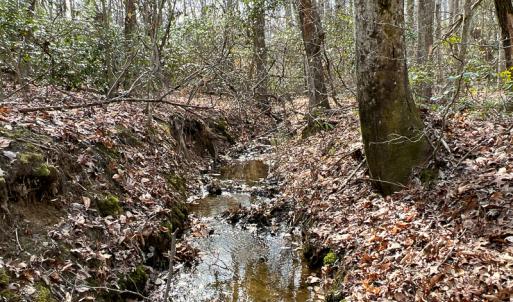 Photo #23 of 9609 Catharpin Road, Spotsylvania, VA 18.1 acres