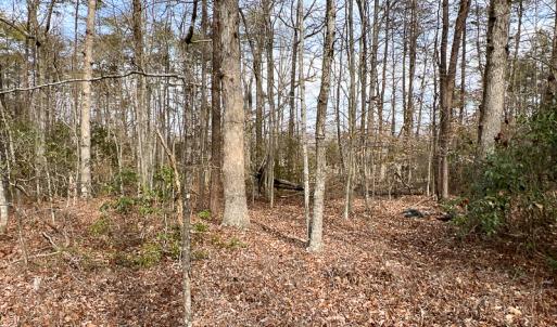 Photo #25 of 9609 Catharpin Road, Spotsylvania, VA 18.1 acres