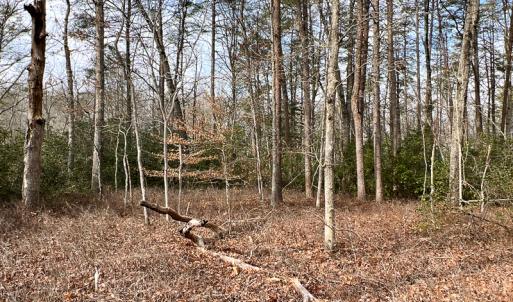 Photo #26 of 9609 Catharpin Road, Spotsylvania, VA 18.1 acres