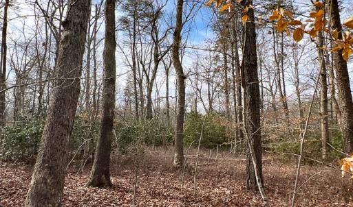 Photo #27 of 9609 Catharpin Road, Spotsylvania, VA 18.1 acres