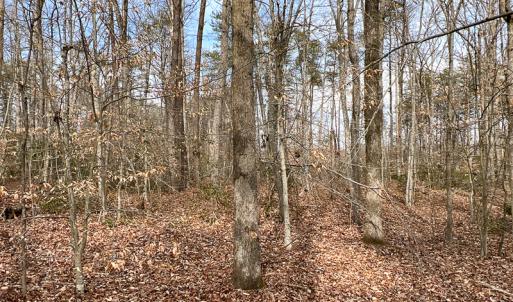 Photo #28 of 9609 Catharpin Road, Spotsylvania, VA 18.1 acres