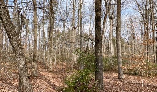 Photo #29 of 9609 Catharpin Road, Spotsylvania, VA 18.1 acres