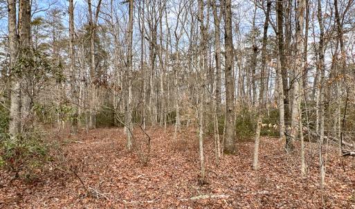 Photo #30 of 9609 Catharpin Road, Spotsylvania, VA 18.1 acres