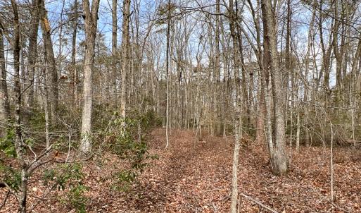 Photo #31 of 9609 Catharpin Road, Spotsylvania, VA 18.1 acres