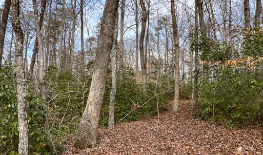Photo #32 of 9609 Catharpin Road, Spotsylvania, VA 18.1 acres