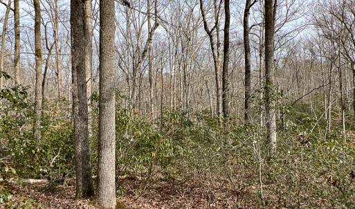 Photo #37 of 9609 Catharpin Road, Spotsylvania, VA 18.1 acres