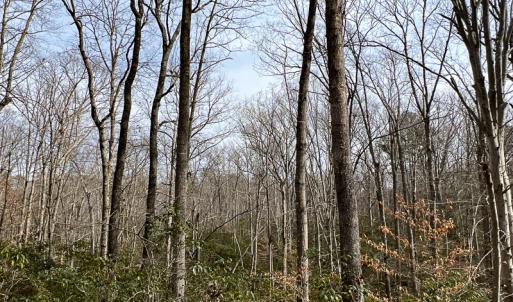 Photo #38 of 9609 Catharpin Road, Spotsylvania, VA 18.1 acres