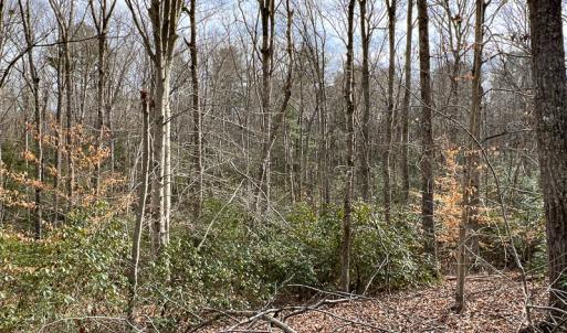 Photo #39 of 9609 Catharpin Road, Spotsylvania, VA 18.1 acres
