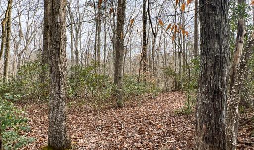 Photo #40 of 9609 Catharpin Road, Spotsylvania, VA 18.1 acres