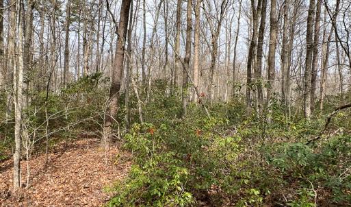 Photo #41 of 9609 Catharpin Road, Spotsylvania, VA 18.1 acres