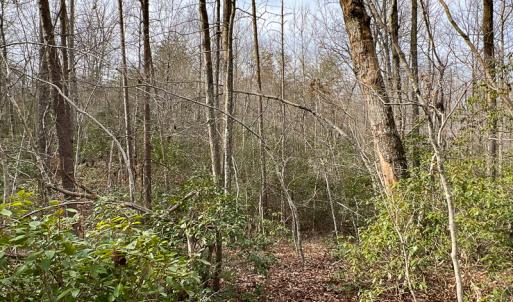 Photo #43 of 9609 Catharpin Road, Spotsylvania, VA 18.1 acres