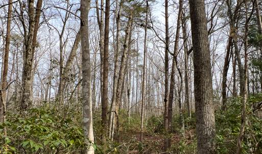 Photo #44 of 9609 Catharpin Road, Spotsylvania, VA 18.1 acres