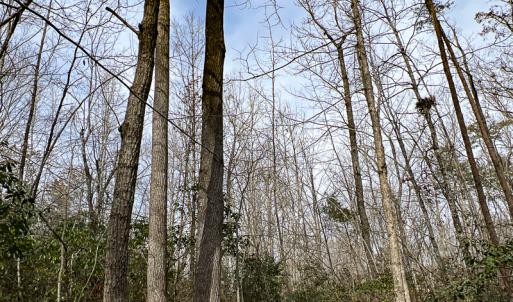 Photo #45 of 9609 Catharpin Road, Spotsylvania, VA 18.1 acres