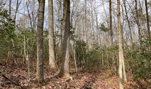 Photo #46 of 9609 Catharpin Road, Spotsylvania, VA 18.1 acres