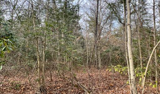 Photo #49 of 9609 Catharpin Road, Spotsylvania, VA 18.1 acres