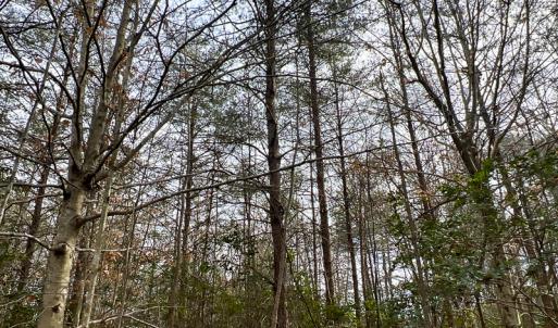 Photo #50 of 9609 Catharpin Road, Spotsylvania, VA 18.1 acres
