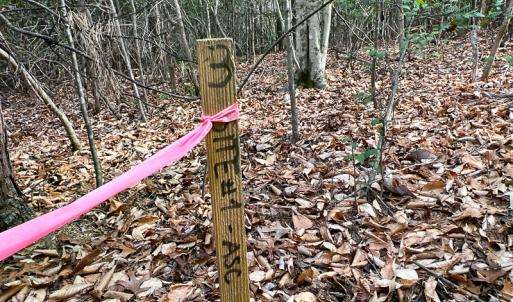 Photo #51 of 9609 Catharpin Road, Spotsylvania, VA 18.1 acres