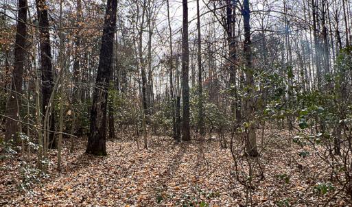 Photo #52 of 9609 Catharpin Road, Spotsylvania, VA 18.1 acres