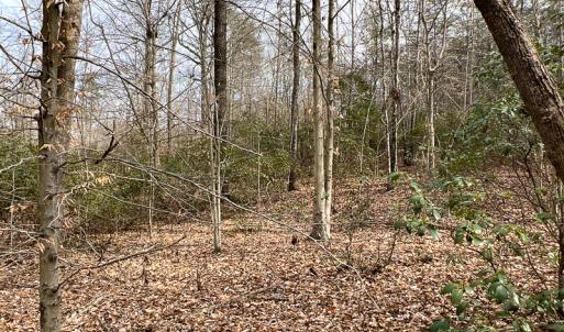 Photo #53 of 9609 Catharpin Road, Spotsylvania, VA 18.1 acres
