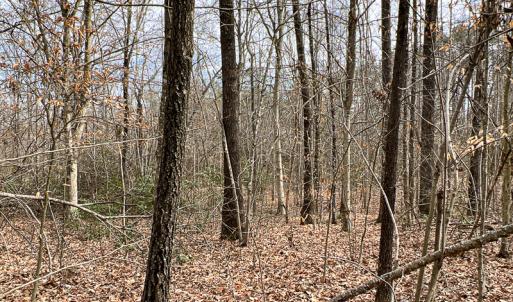 Photo #54 of 9609 Catharpin Road, Spotsylvania, VA 18.1 acres