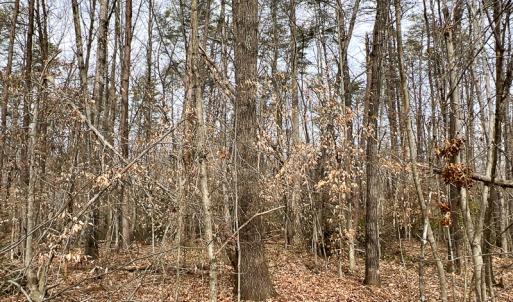 Photo #55 of 9609 Catharpin Road, Spotsylvania, VA 18.1 acres